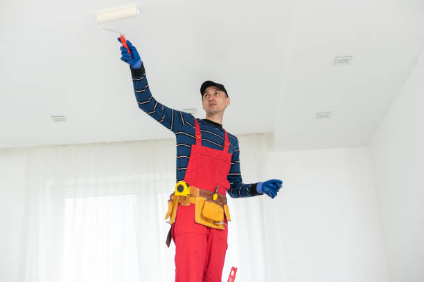 Best Repainting for Renovations  in Orange, TX